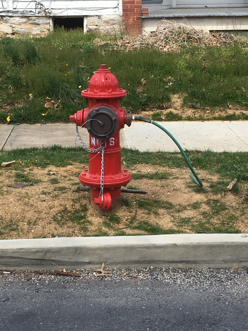 920EC5D8-BA77-48FA-B809-20C048C30BF3